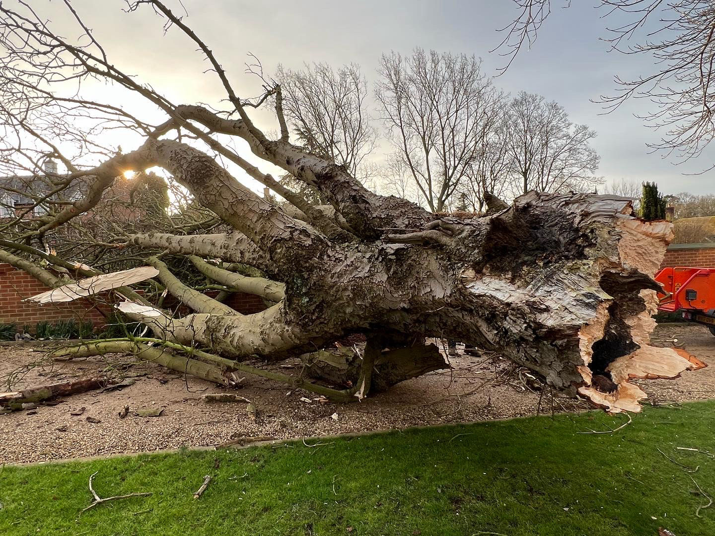 Emergency tree work from bad weather or storm damaged trees clearing the road from fallen trees Rutland