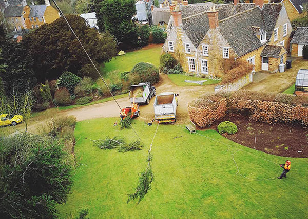 Contract site and garden clearance removing trees from a site before professional landscaping in Melton Mowbray Leicestershire 